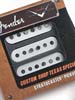 photo of Texas Special Strat Set