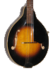 photo of A-00 